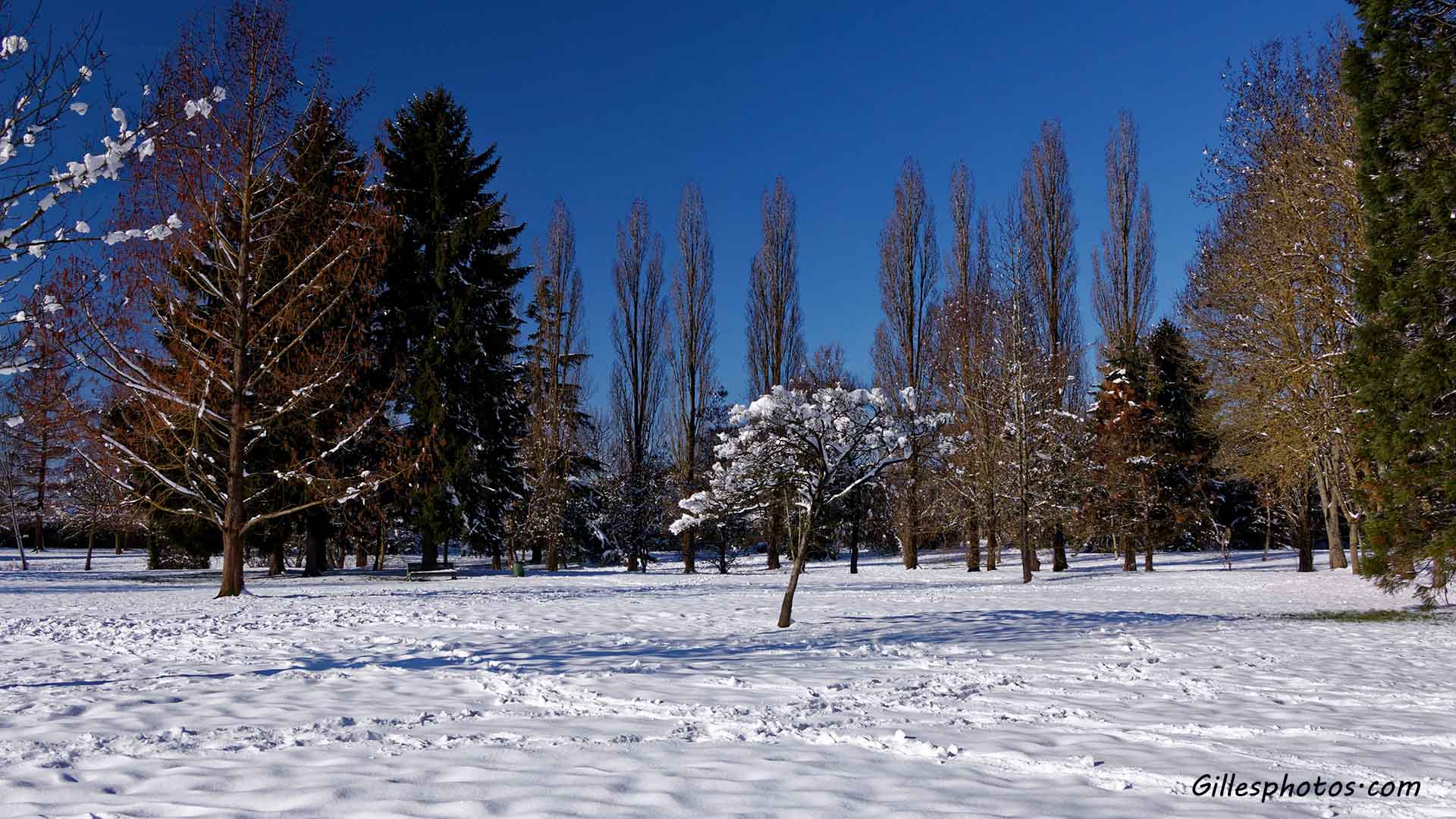 Février 2018 : Parc de trappes sous la neige